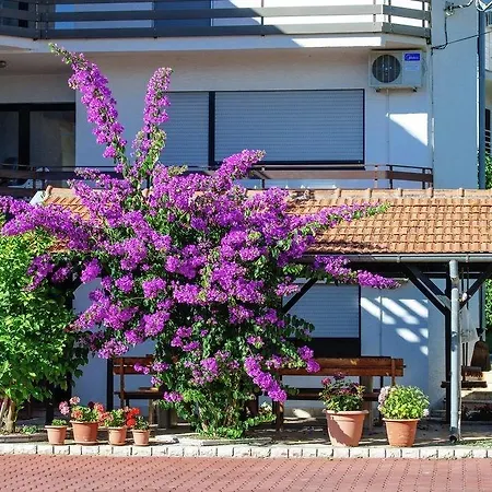 Two-bedroom In Zadar Ii * Diklo